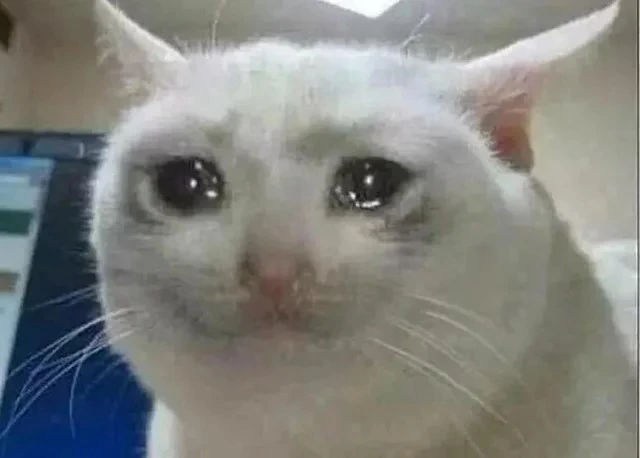 When your client’s offer gets accepted