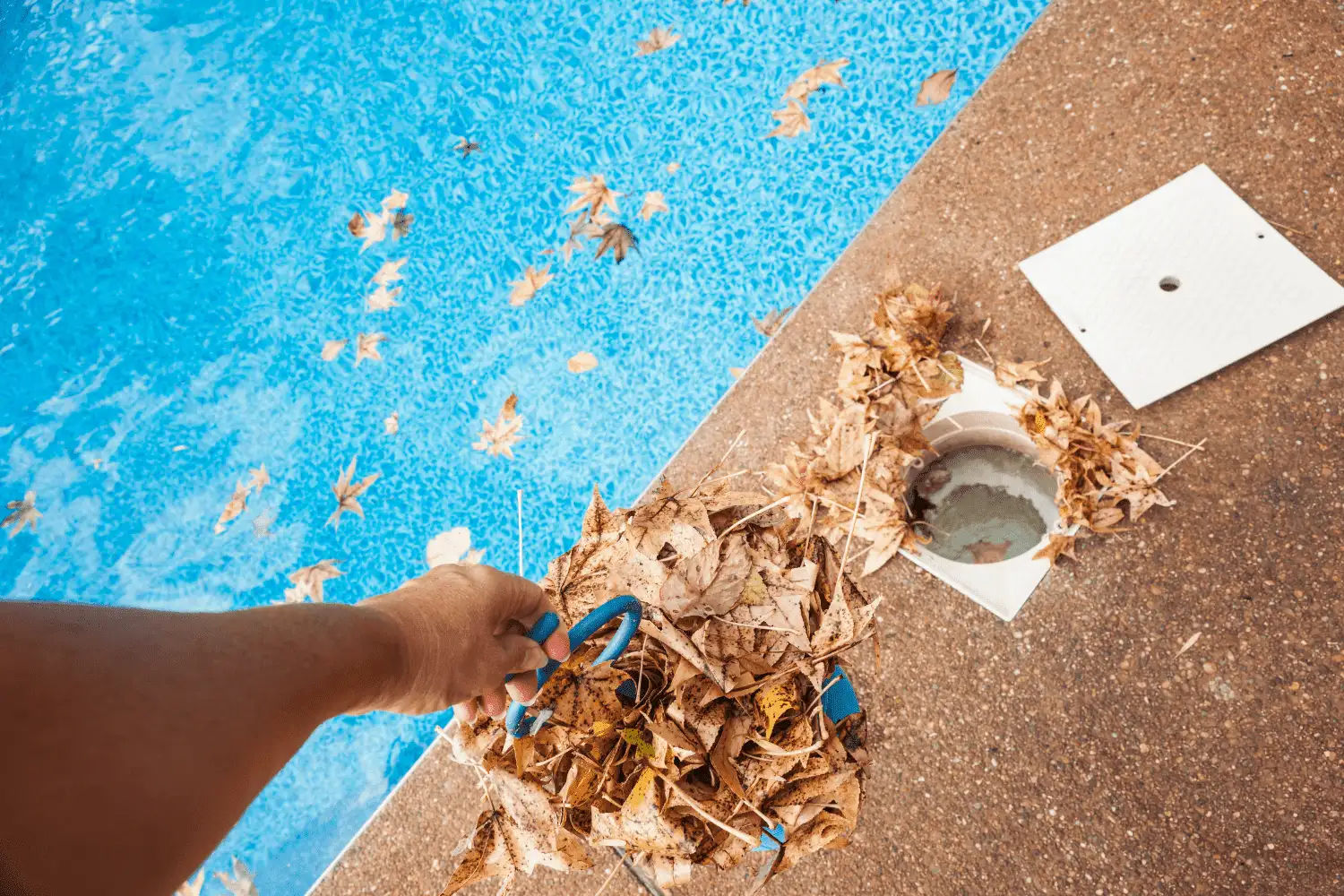 How to Start A Pool Cleaning Business in 7 Simple Steps