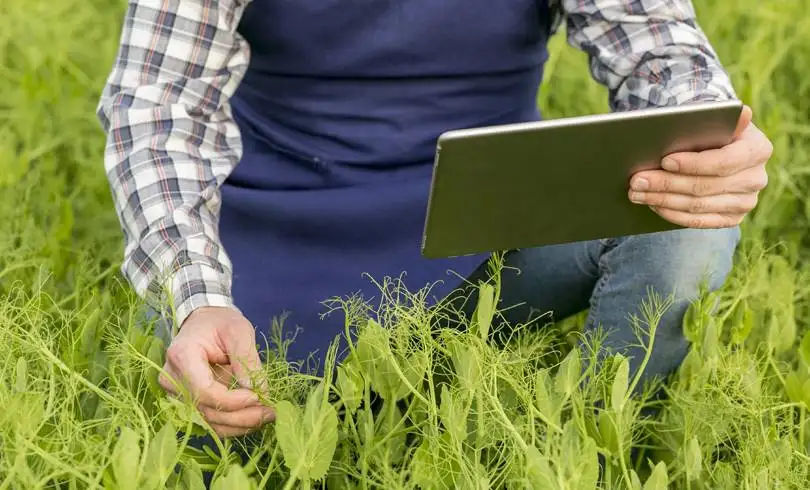 Lawn care app