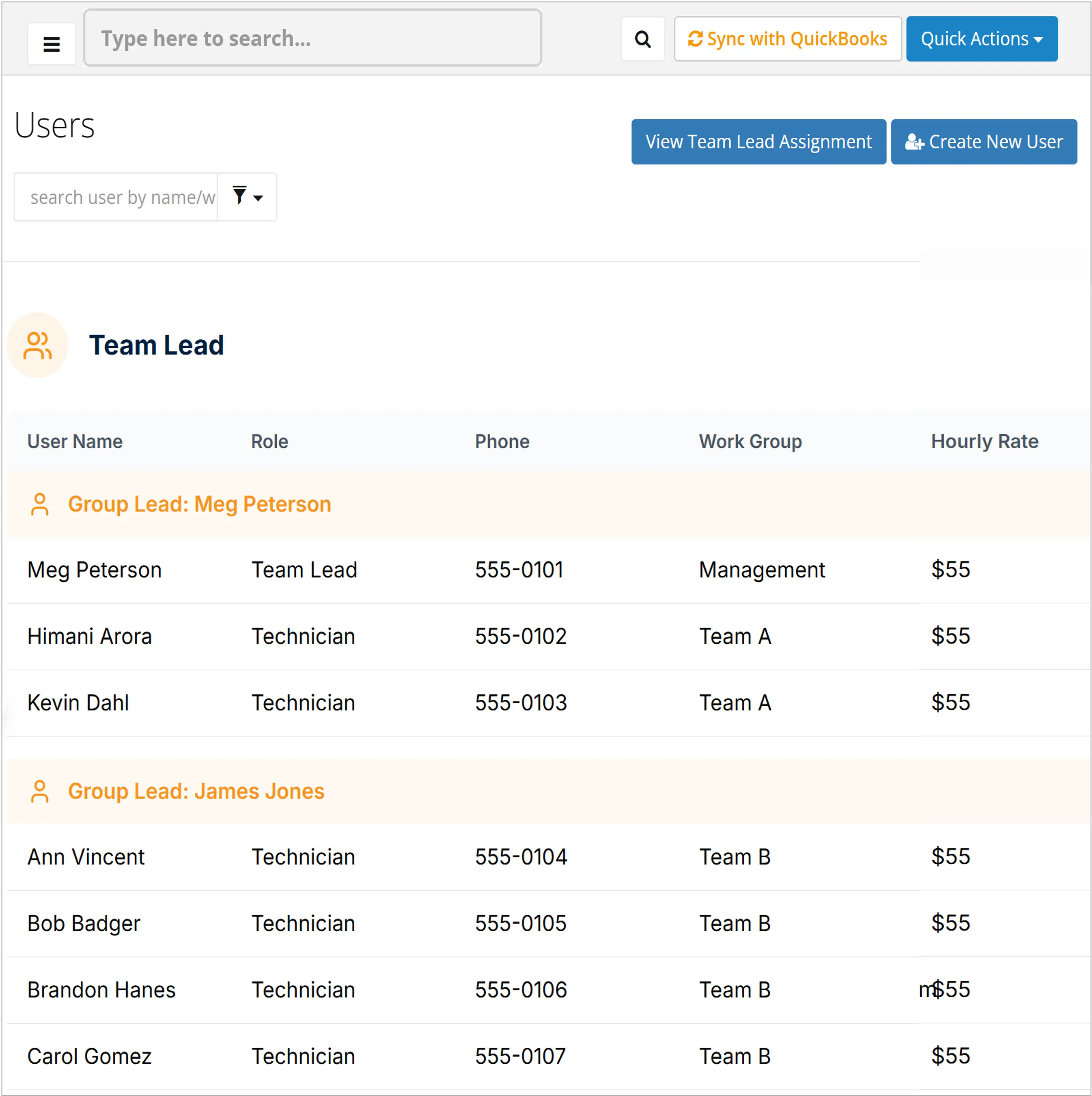 Team Lead Oversight