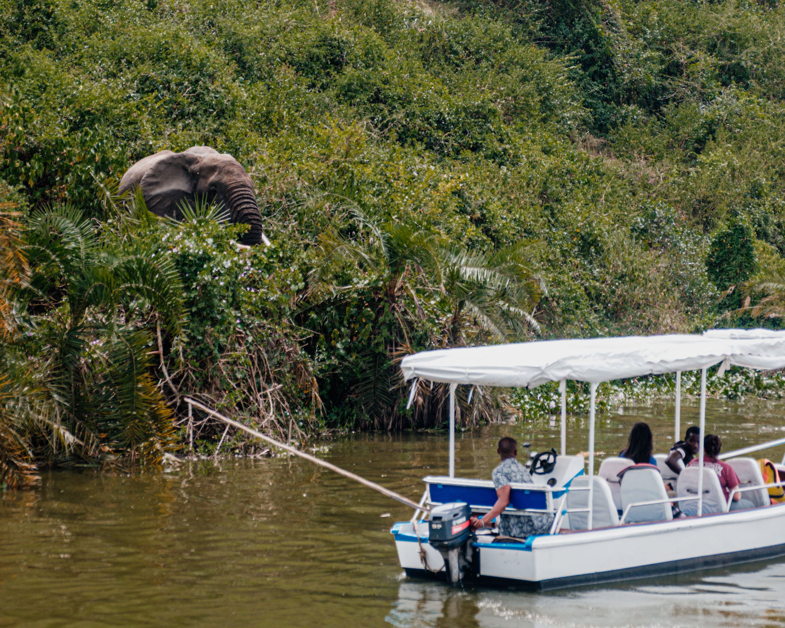 Boat Tours