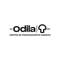 Logo de tienda