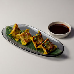 Dumplings / Pollo
