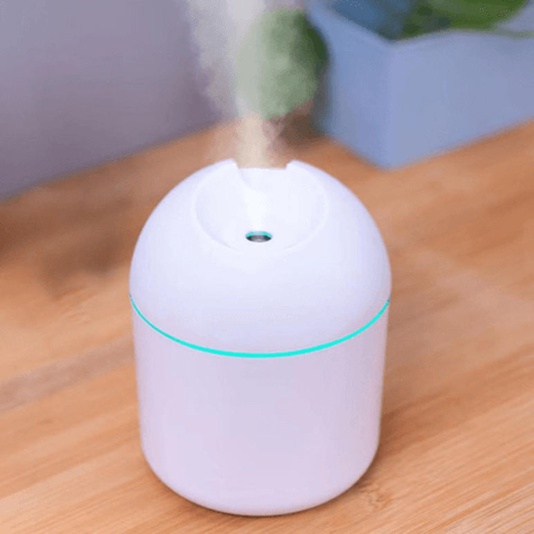 Humidificador Forma de Huevo con Luces (200ml)