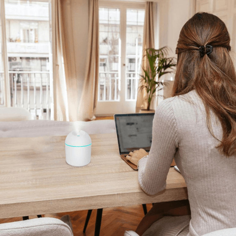 Humidificador Forma de Huevo con Luces (200ml)