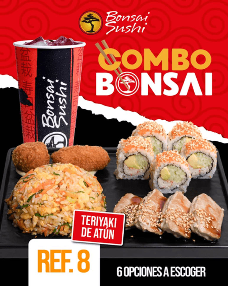 Teriyaki: Pollo/Carne/Atun