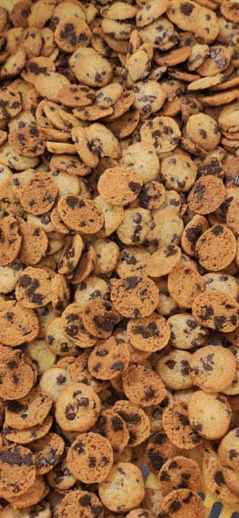 Galletas Choco Mucho 175 g