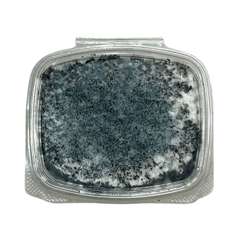 Masago Negro 200gr – New Cheng | Huevas de pescado