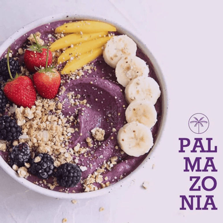 Pura de Acai 500 g – Palmazonia