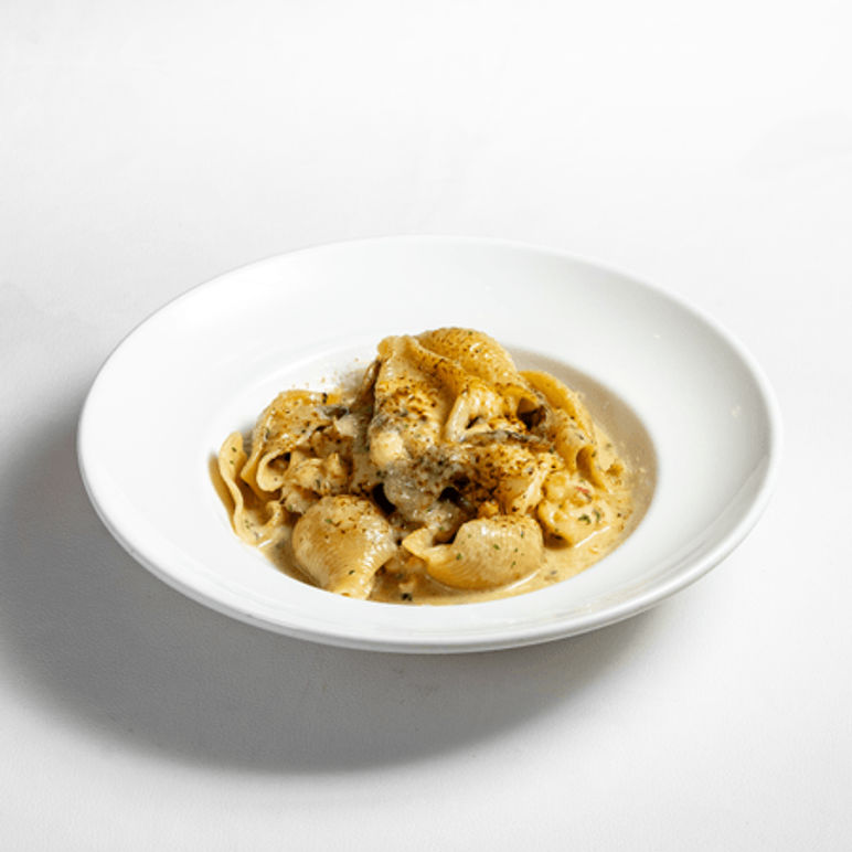 Conchiglioni termidor
