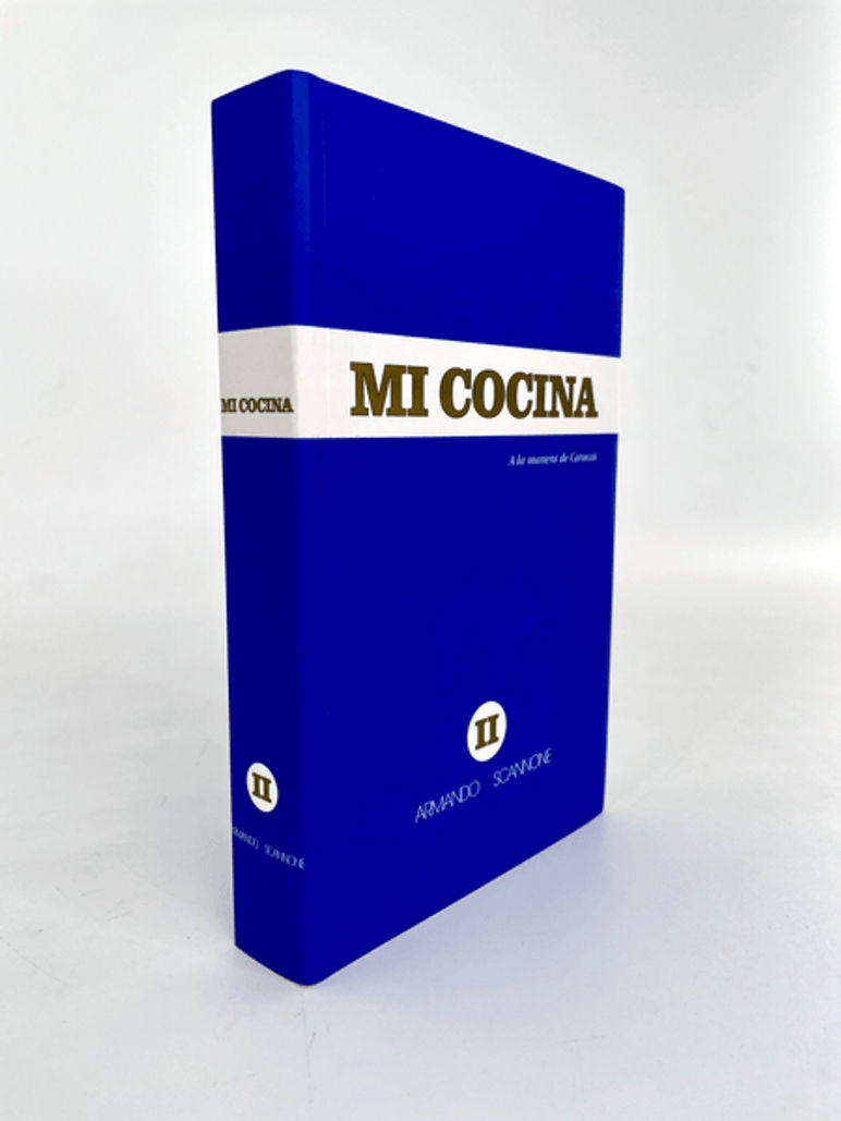 Mi cocina, a la manera de Caracas, II