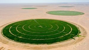 ميلود تريعة لـ «الوصال»: مشاريع جزائرية عُمانية مرتقبة في «منطقة النجد» لتطوير الزراعة الصحراوية وتعزيز الأمن الغذائي