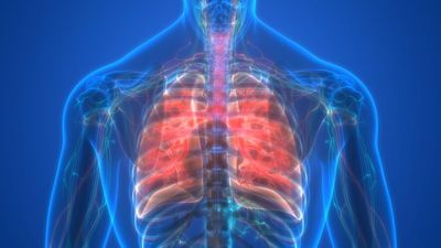 الدكتور يونس البلوشي لـ «الوصال»: تليف الرئة مرض نادر… والوراثي منه يظهر منذ الولادة