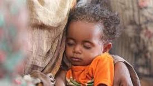 سليم عويس لـ«الوصال»: اجتماع مسقط يؤكد أولوية «حقوق الأطفال» في أوقات النزاع والأزمات الإنسانية