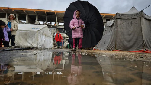 إبراهيم أبو ريدة لـ &laquo;الوصال&raquo;: آلاف العائلات في غزة تقاسي البرد داخل خيام لا تقي المطر ولا تحفظ الدفء