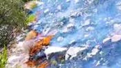 مروة المحروقية لـ&laquo;الوصال&raquo;: تقييم بيئي شامل بعد الإخماد.. وأسباب طبيعية وراء اندلاع الحريق في رأس الحرق بولاية الحمراء