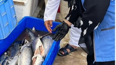 إبراهيم العلوي لـ&laquo;الوصال&raquo;: طريقة صف الأسماك داخل الناقلة وغياب التبريد الكافي تسببا في إتلاف 437 كيلوغرامًا من الكنعد في سوق عبري