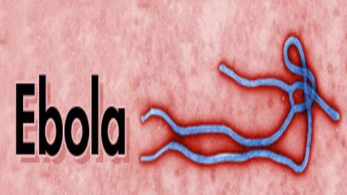 Ebola قد يدفع نحو مليون شخص إضافي إلى الفقر في الكونجو