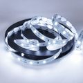 IP20 Lumina Rece