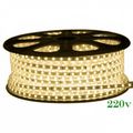 60LED/m Lumina Calda