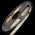 Banda LED 12V 9.6W/m, 120LED/m, IP20, R2835, lumina calda - rola de 5m