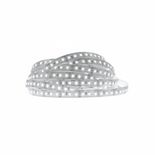 Banda LED 12V 9.6W/m, 120LED/m, IP20, R2835, lumina neutra - rola de 5m