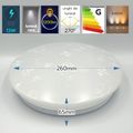 Plafoniera LED Flower,13W=75W, 260x65mm, 6400K, lumina rece