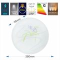 Plafoniera LED Flower, 13W=75W, Ø230, 6500K, lumina rece