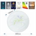 Plafoniera LED Flower Shape, 18W (Echivalent 120W), Ø30cm, Lumina Rece