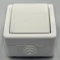 Intrerupator Ag, Spin Top, Ip54