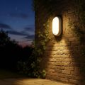 Aplica ovala de exterior cu senzor de miscare 360°, 8W=60W, 650Lm, IP65, lumina rece