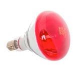 Bec Infrarosu 250W PHILIPS