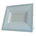 100W (lumina rece ALB)