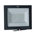 100W (lumina rece)