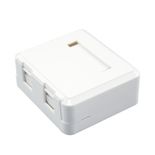 Box 2 porturi cu capac antipraf - EMTEX