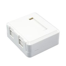 Box 2 porturi cu capac antipraf - EMTEX
