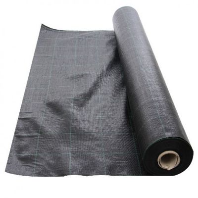 Folie Agrotextil AGV Super Strong, Antiburuieni, Mulcire, Filtru UV, 100gr/mp, Latime 1.5m, Lungime 100 Metri, Patratele 25x25cm