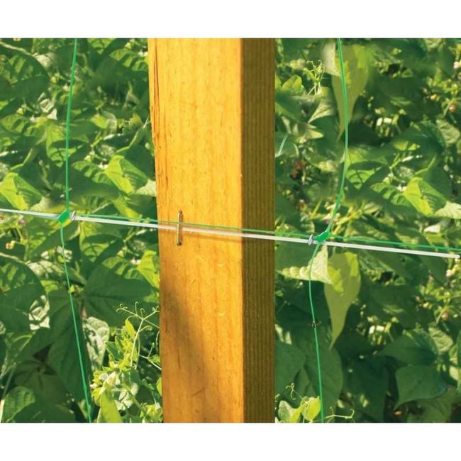 Plasa pentru Sustinere Plante Cataratoare 1.7x5 Metri, Rezistenta UV, Verde