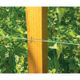 Plasa pentru Sustinere Plante Cataratoare 1.7x5 Metri, Rezistenta UV, Verde