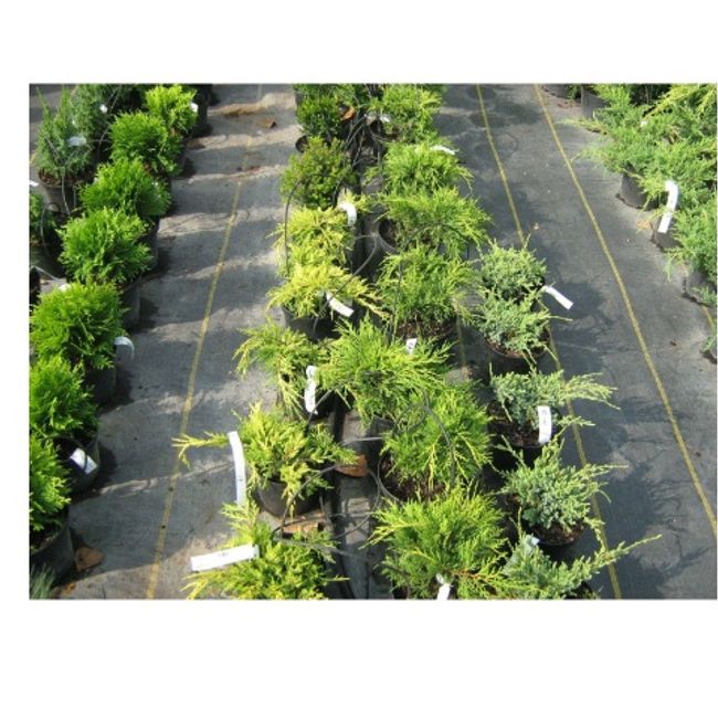 Folie agrotextil, ecologica, antiburuieni, filtru UV, latime 1.05 m, lungime 50m, grad de umbrire 100 %