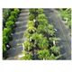 Folie agrotextil, ecologica, antiburuieni, filtru UV, latime 1.05 m, lungime 50m, grad de umbrire 100 %