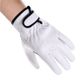 Manusi de protectie din piele manseta velcro