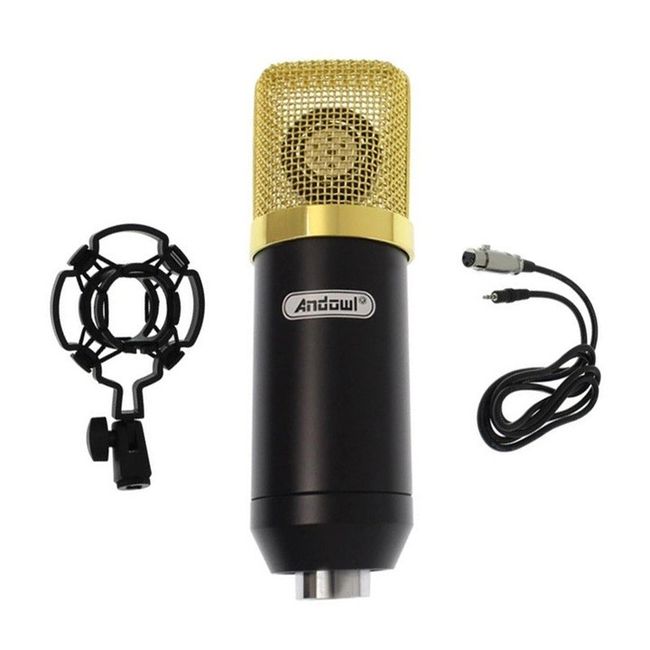 Microfon condensator pentru studio, cu cablu, negru / auriu