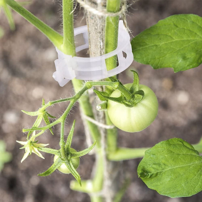 Clips de Palisare Legume (Tomate, Ardei, Castraveti) 100 Buc