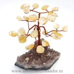 Pom citrin
