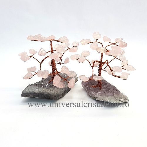 Pom cuart roz