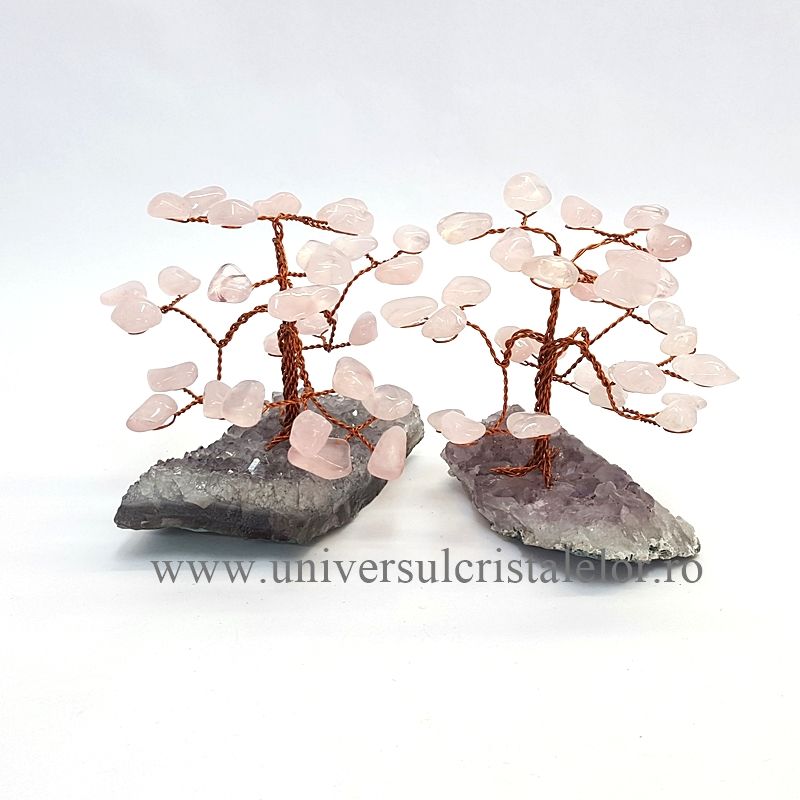 Pom cuart roz