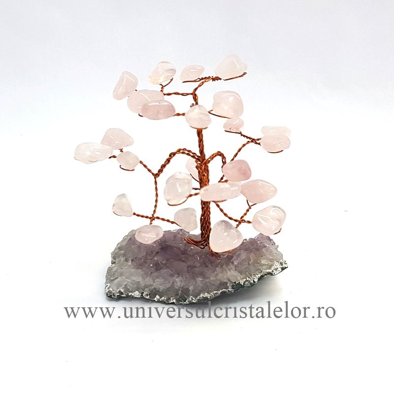 Pom cuart roz