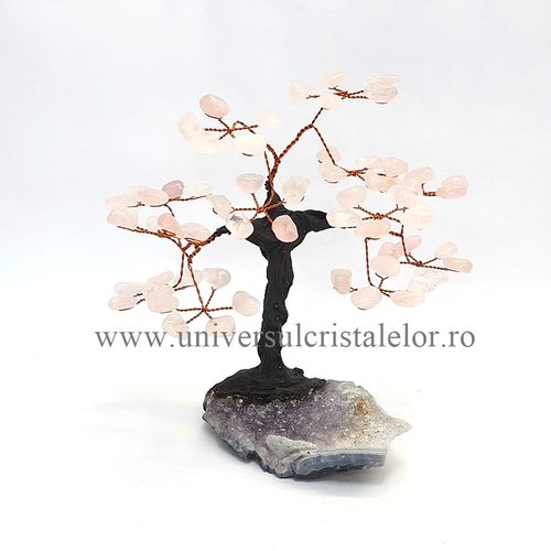 Pom cuart roz