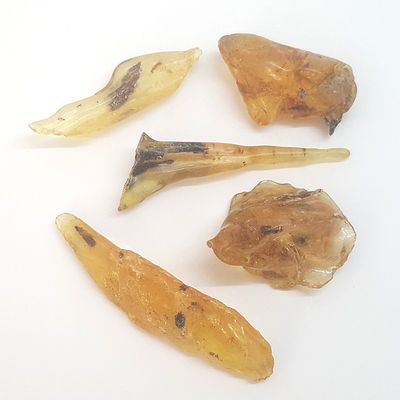 Copal